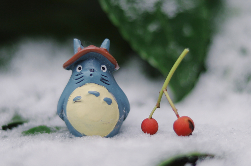 totoro